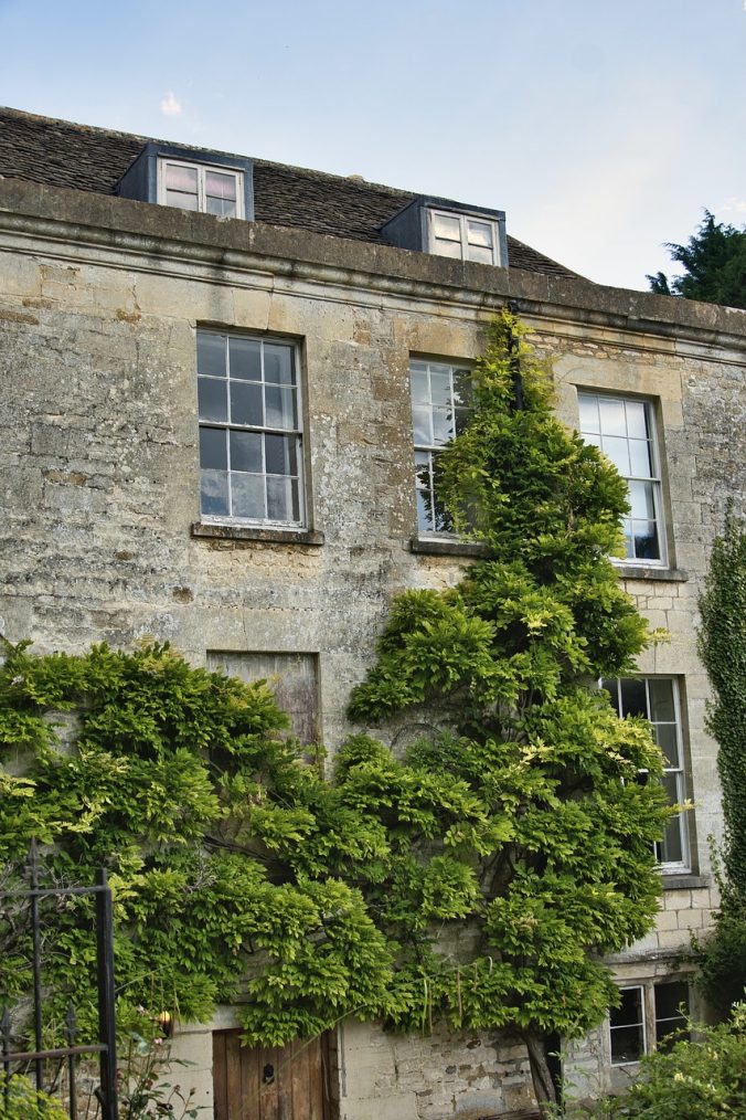 building, nature, facade